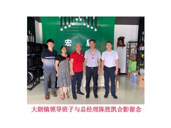 东莞大朗镇领导前来蜜桃视频APP官方入口缠绕膜厂家指导工作